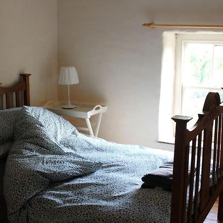 Relaxing Pet Friendly 2-Bed Cottage In Rhandirmwyn 兰达弗里 外观 照片
