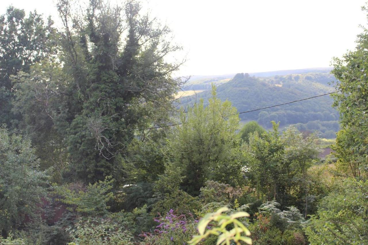 Relaxing Pet Friendly 2-Bed Cottage In Rhandirmwyn 兰达弗里 外观 照片