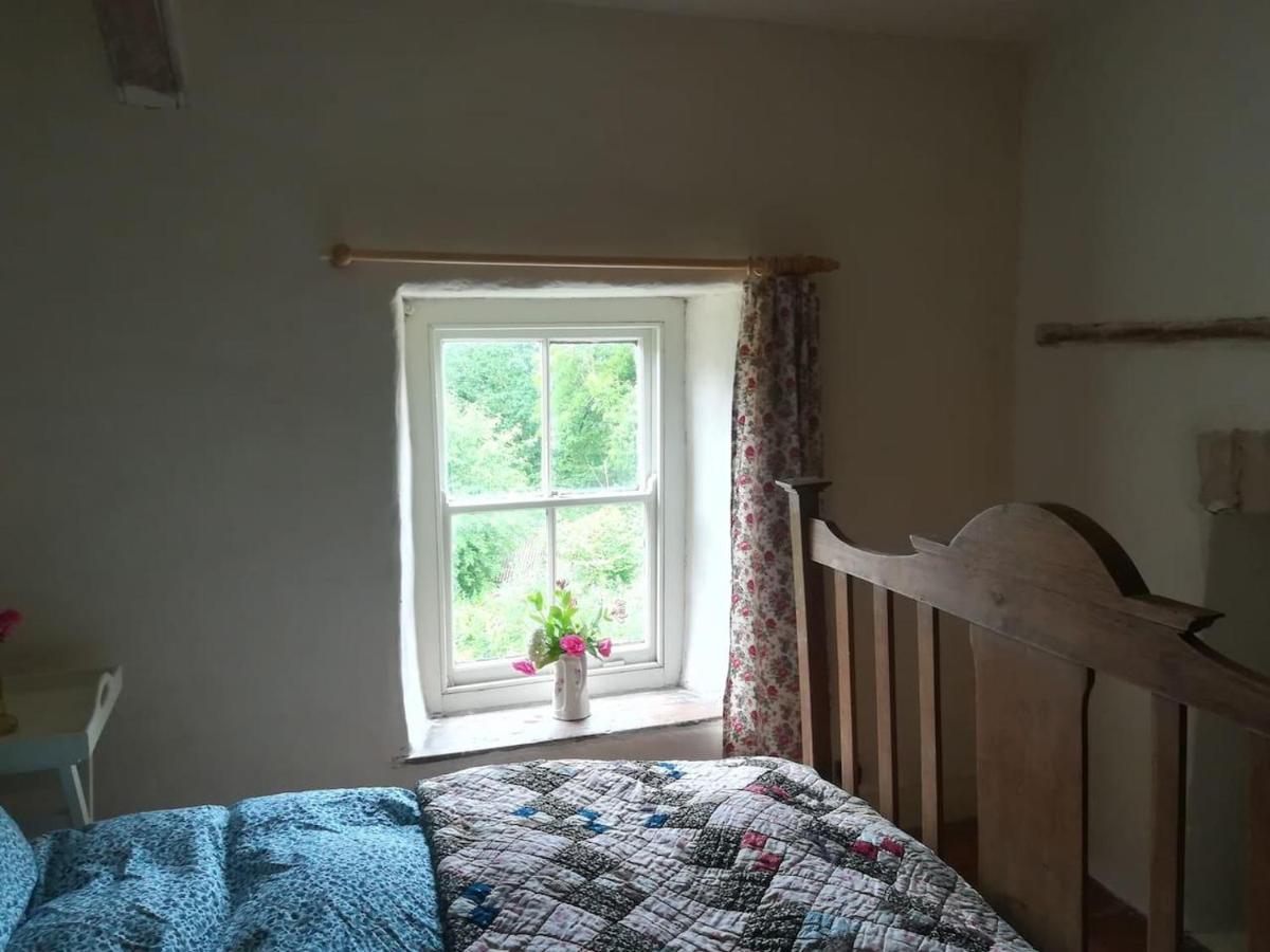 Relaxing Pet Friendly 2-Bed Cottage In Rhandirmwyn 兰达弗里 外观 照片