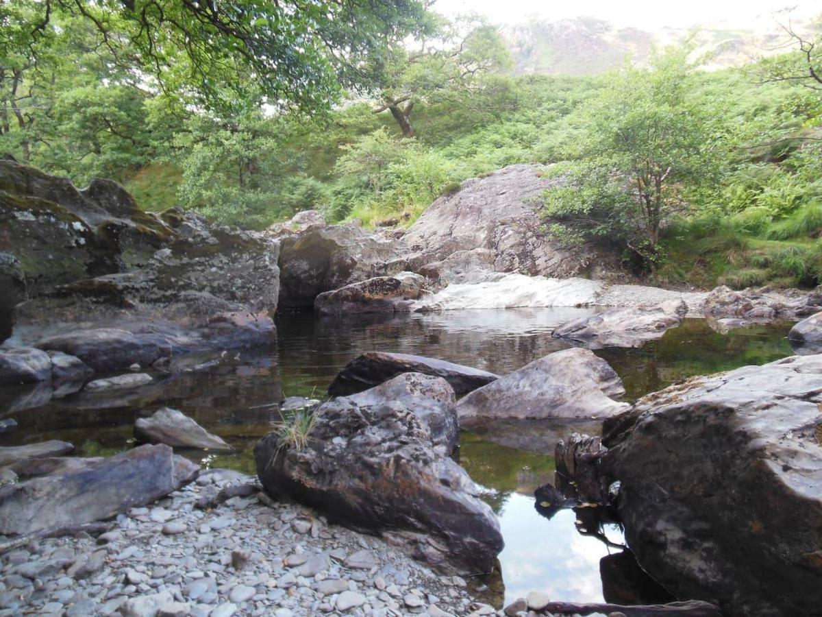 Relaxing Pet Friendly 2-Bed Cottage In Rhandirmwyn 兰达弗里 外观 照片